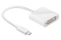 DVI-naar-USB-C adapter