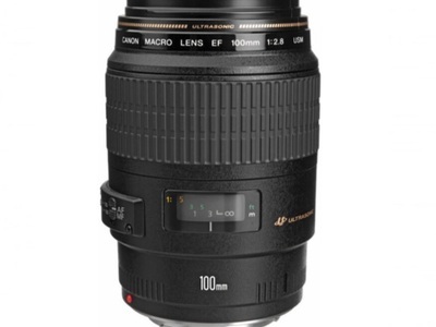 Canon EF 100mm f/2.8 Macro USM