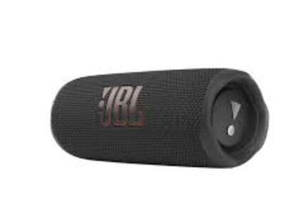 JBL Flip 6