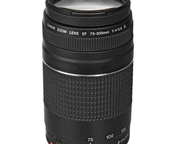 Canon EF 75-300mm f/4-5.6 III