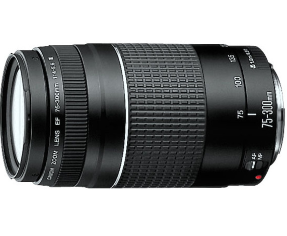 Canon EF 75-300mm f/4-5.6 III