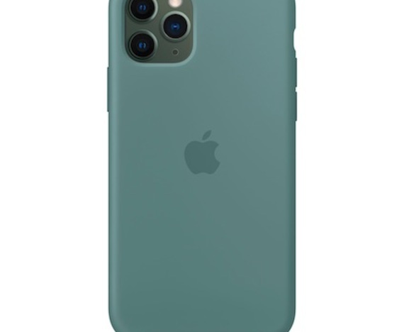 Apple iPhone 11 Pro Silicone Case Cactus