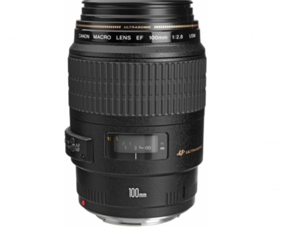 Canon EF 100mm f/2.8 Macro USM