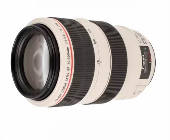 Canon EF 70-300mm f/4-5.6 L IS USM + ET-73B zonnekap