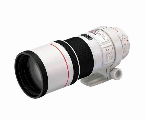 Canon EF 300mm f/4-5.6 L IS USM + ET-73B zonnekap