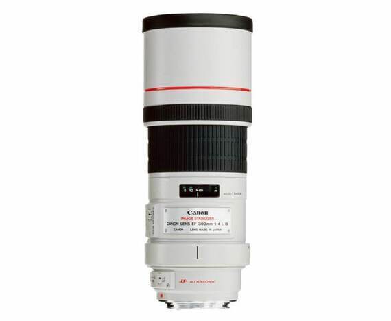 Canon EF 300mm f/4-5.6 L IS USM + ET-73B zonnekap