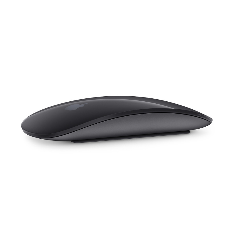 verzending Ademen Doodt Apple Magic Mouse 2 - Space Gray (muis)