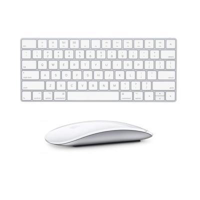 Apple Magic Keyboard + Apple Magic Mouse 2 Zilver