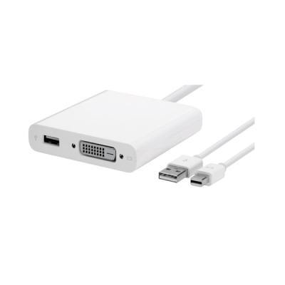 Apple Mini DisplayPort naar Dual-Link DVI Adapter